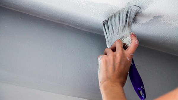 How to clean up a wall infested with mold due to humidity and moisture
